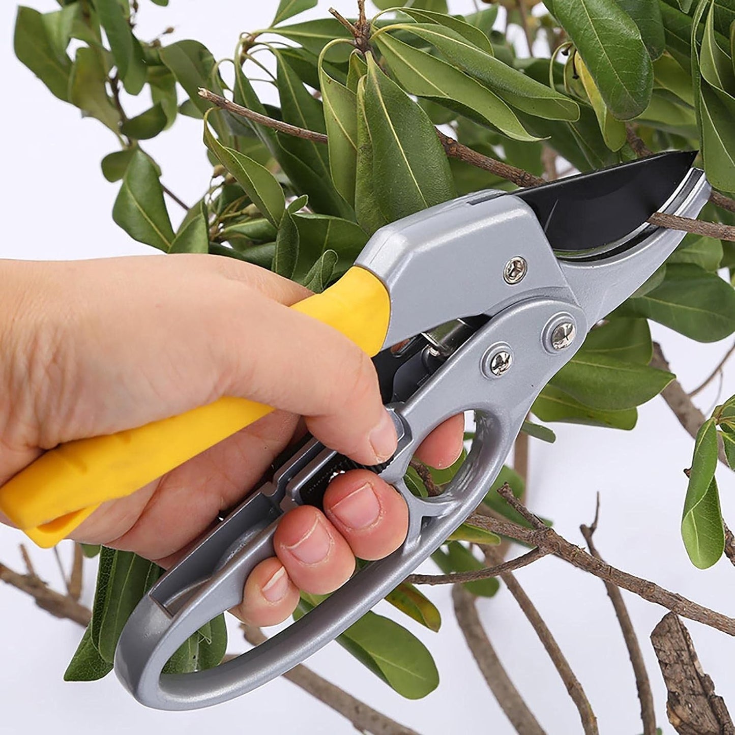 Enhanced Garden Shears Pruning Tool